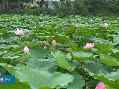 Ảnh bìa bài viết 547027