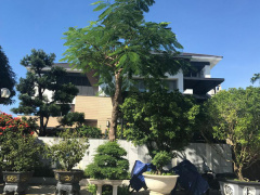 Ảnh bìa bài viết 547522