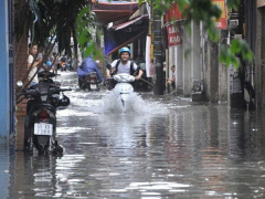Ảnh bìa bài viết 547364