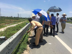 Ảnh bìa bài viết 547452