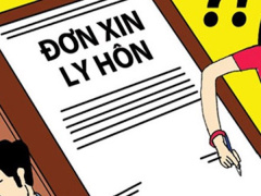 Ảnh bìa bài viết 547800