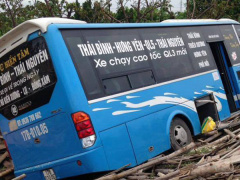 Ảnh bìa bài viết 548200
