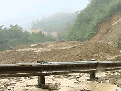 Ảnh bìa bài viết 548246