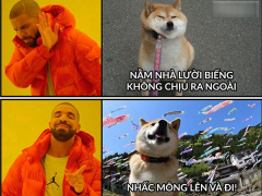 Ảnh bìa bài viết 548669