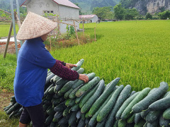 Ảnh bìa bài viết 548981