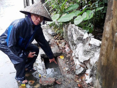 Ảnh bìa bài viết 549461
