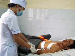 Ảnh bìa bài viết 550438
