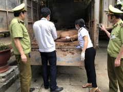Ảnh bìa bài viết 550572