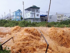 Ảnh bìa bài viết 550731