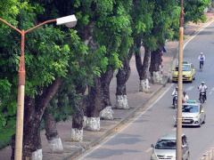 Ảnh bìa bài viết 551111