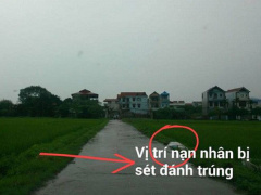 Ảnh bìa bài viết 552274