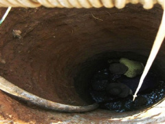 Ảnh bìa bài viết 552474