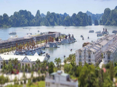 Ảnh bìa bài viết 552714