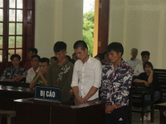 Ảnh bìa bài viết 552914