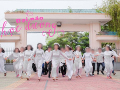 Ảnh bìa bài viết 553022