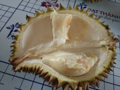 Ảnh bìa bài viết 552937