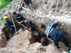Ảnh bìa bài viết 553252