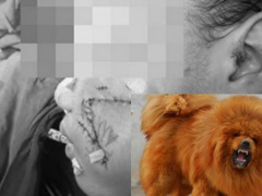 Ảnh bìa bài viết 553632