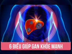 Ảnh bìa bài viết 553481