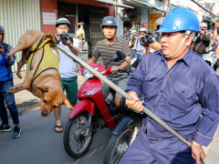 Ảnh bìa bài viết 553626