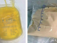 Ảnh bìa bài viết 553879