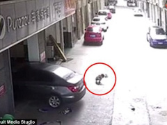 Ảnh bìa bài viết 553839