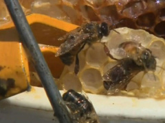 Ảnh bìa bài viết 553845