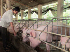 Ảnh bìa bài viết 553672