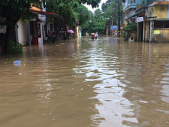 Ảnh bìa bài viết 553841