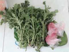 Ảnh bìa bài viết 554202