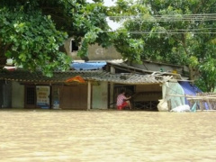Ảnh bìa bài viết 554391