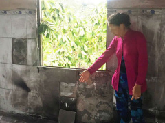 Ảnh bìa bài viết 554342