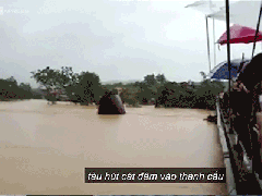 Ảnh bìa bài viết 554233