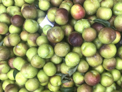 Ảnh bìa bài viết 554226