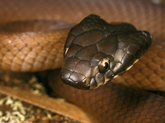 Ảnh bìa bài viết 554699