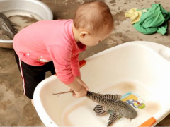 Ảnh bìa bài viết 554563