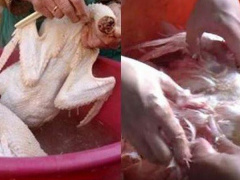 Ảnh bìa bài viết 554669