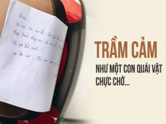 Ảnh bìa bài viết 554508