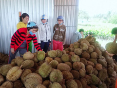 Ảnh bìa bài viết 554588
