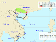 Ảnh bìa bài viết 554613