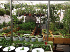 Ảnh bìa bài viết 554813