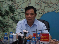 Ảnh bìa bài viết 554902