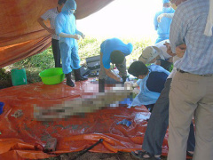 Ảnh bìa bài viết 554916