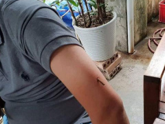 Ảnh bìa bài viết 555386