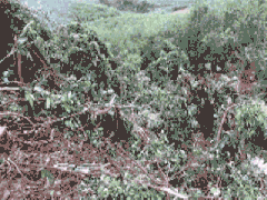 Ảnh bìa bài viết 555423