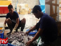 Ảnh bìa bài viết 555223