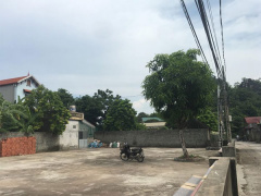 Ảnh bìa bài viết 555281