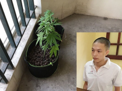 Ảnh bìa bài viết 555509