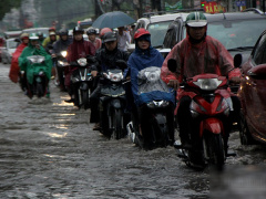 Ảnh bìa bài viết 555580