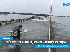 Ảnh bìa bài viết 555681